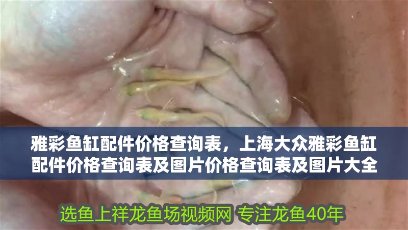 雅彩魚缸配件價格查詢表，上海大眾雅彩魚缸配件價格查詢表及圖片價格查詢表及圖片大全