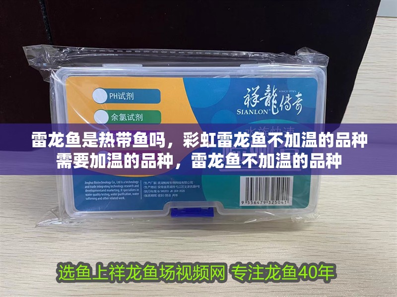 雷龍魚是熱帶魚嗎，彩虹雷龍魚不加溫的品種需要加溫的品種，雷龍魚不加溫的品種