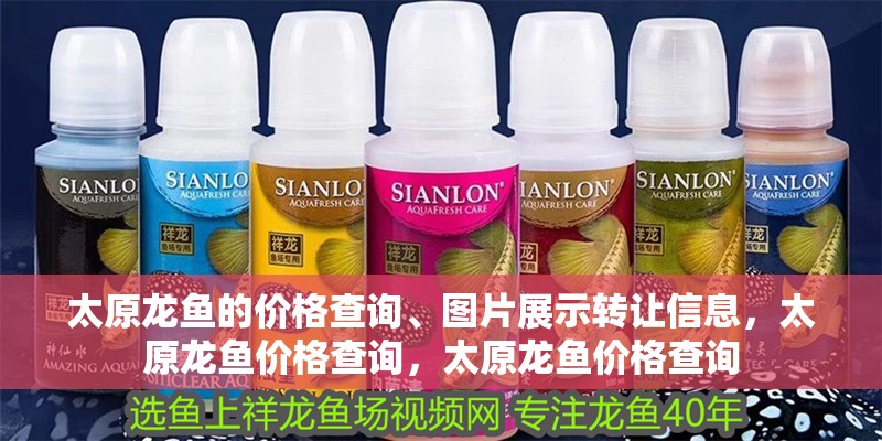 太原龍魚的價(jià)格查詢、圖片展示轉(zhuǎn)讓信息，太原龍魚價(jià)格查詢，太原龍魚價(jià)格查詢