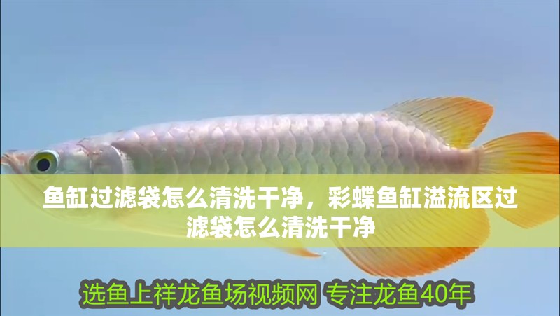魚缸過濾袋怎么清洗干凈，彩蝶魚缸溢流區過濾袋怎么清洗干凈