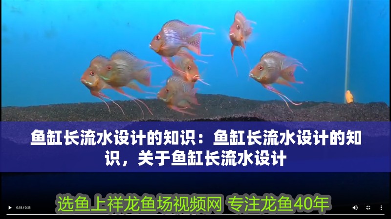 魚缸長流水設計的知識：魚缸長流水設計的知識，關于魚缸長流水設計