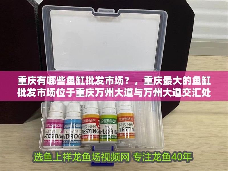 重慶有哪些魚(yú)缸批發(fā)市場(chǎng)？，重慶最大的魚(yú)缸批發(fā)市場(chǎng)位于重慶萬(wàn)州大道與萬(wàn)州大道交匯處