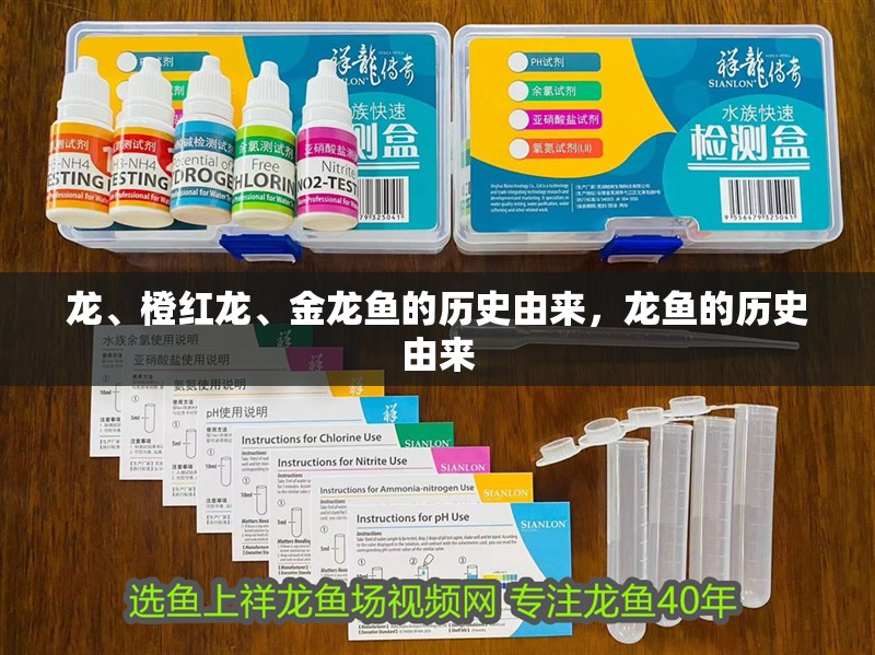 龍、橙紅龍、金龍魚的歷史由來，龍魚的歷史由來