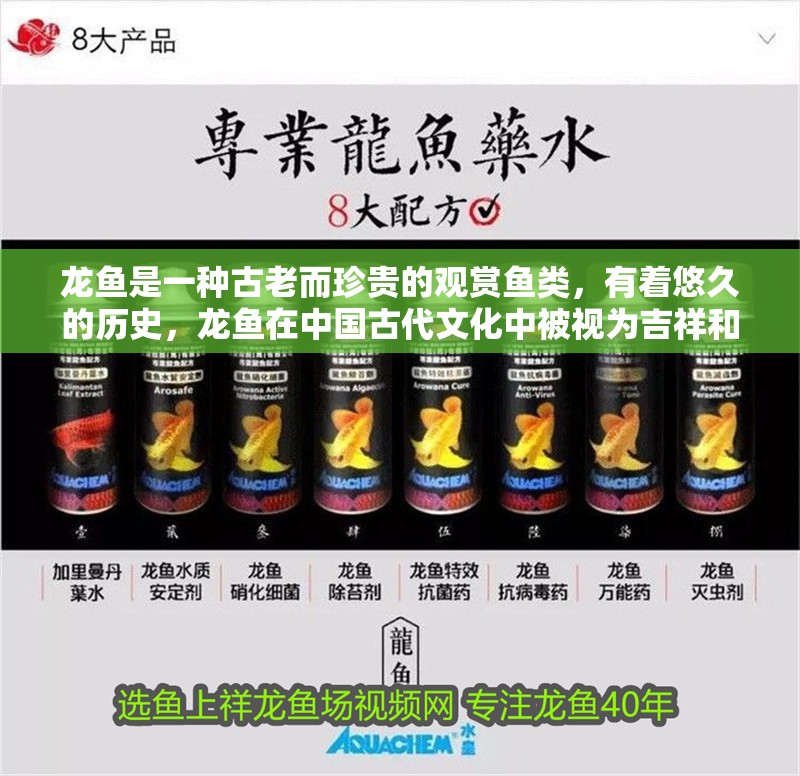龍魚是一種古老而珍貴的觀賞魚類，有著悠久的歷史，龍魚在中國古代文化中被視為吉祥和權(quán)力的象征，有著悠久歷史