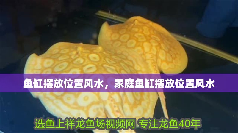 魚缸擺放位置風水，家庭魚缸擺放位置風水