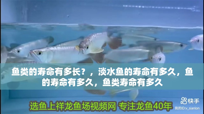 魚類的壽命有多長？，淡水魚的壽命有多久，魚的壽命有多久，魚類壽命有多久