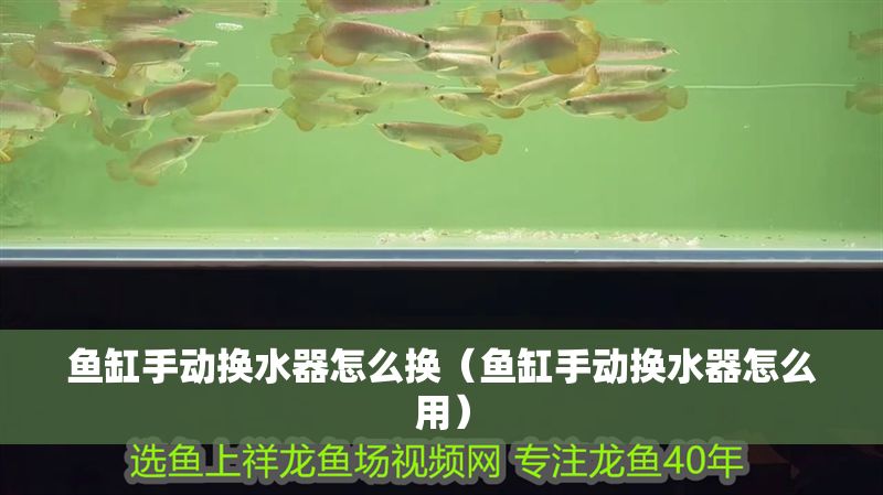 魚缸手動換水器怎么換（魚缸手動換水器怎么用）