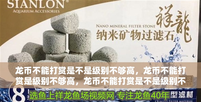 龍幣不能打賞是不是級別不夠高，龍幣不能打賞是級別不夠高，龍幣不能打賞是不是級別不夠高，