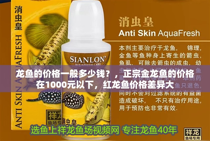 龍魚的價格一般多少錢？，正宗金龍魚的價格在1000元以下，紅龍魚價格差異大