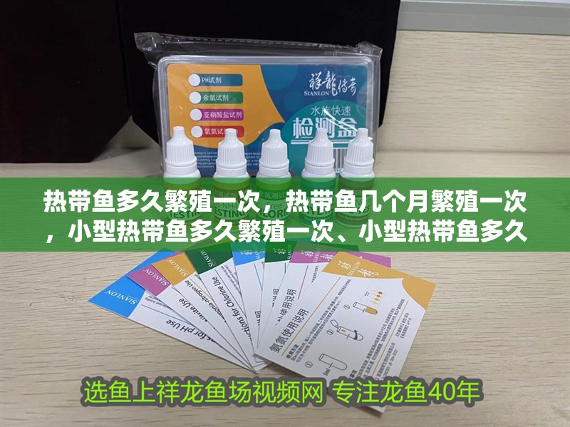 熱帶魚多久繁殖一次，熱帶魚幾個月繁殖一次，小型熱帶魚多久繁殖一次、小型熱帶魚多久繁殖一次