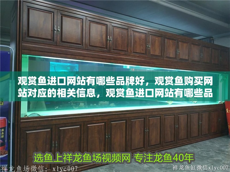 觀賞魚進口網站有哪些品牌好，觀賞魚購買網站對應的相關信息，觀賞魚進口網站有哪些品牌好