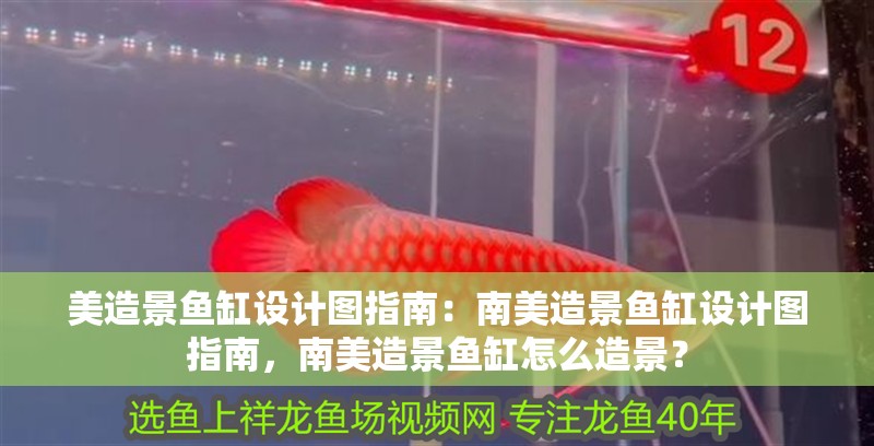美造景魚缸設計圖指南：南美造景魚缸設計圖指南，南美造景魚缸怎么造景？