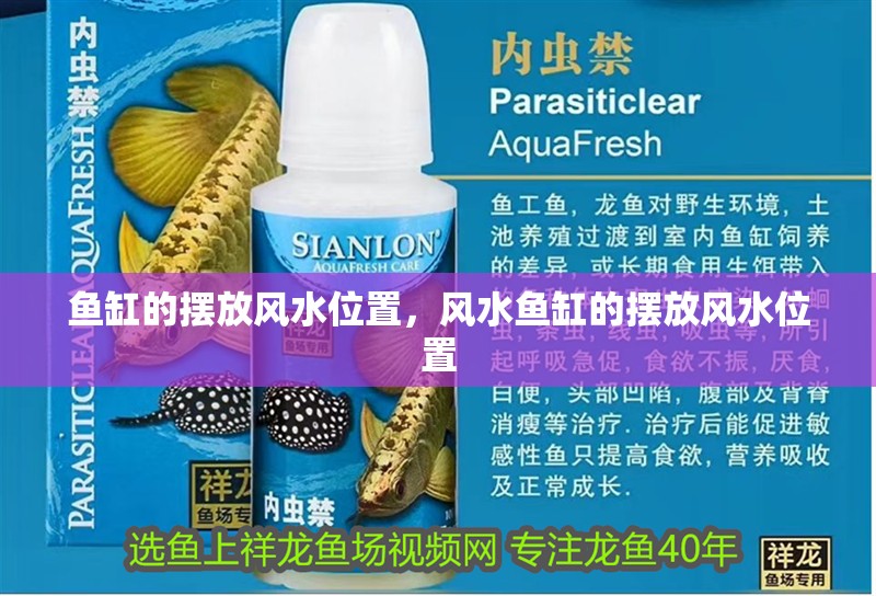 魚缸的擺放風水位置，風水魚缸的擺放風水位置