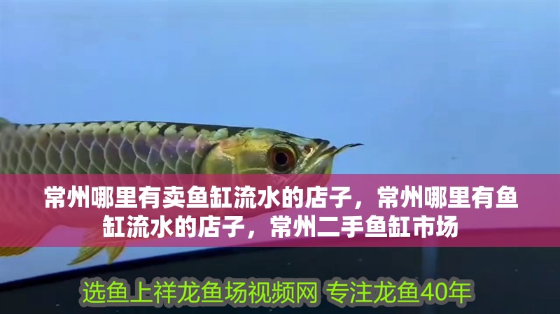 常州哪里有賣魚缸流水的店子，常州哪里有魚缸流水的店子，常州二手魚缸市場