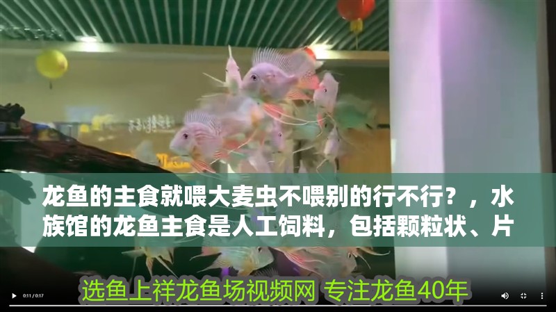 龍魚的主食就喂大麥蟲不喂別的行不行？，水族館的龍魚主食是人工飼料，包括顆粒狀、片狀和粉狀等不同形態
