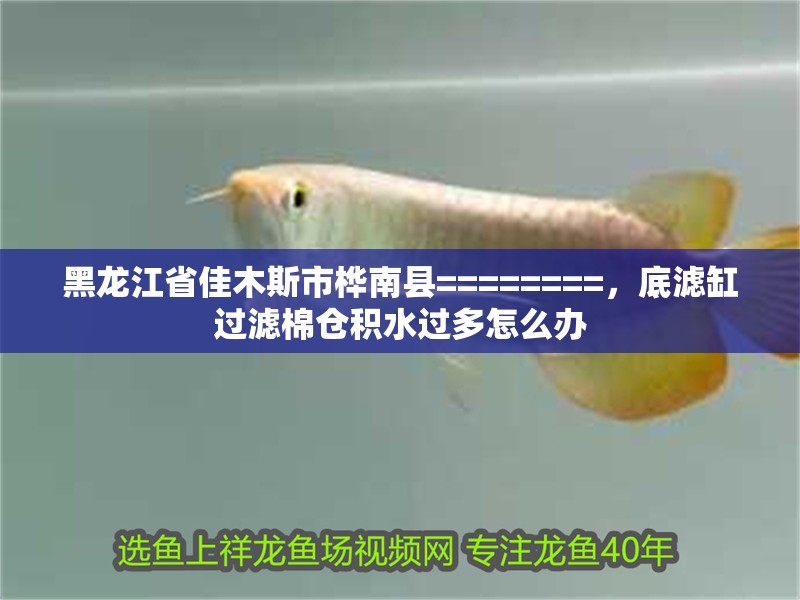 黑龍江省佳木斯市樺南縣========，底濾缸過濾棉倉積水過多怎么辦