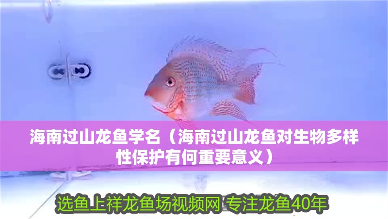 海南過(guò)山龍魚(yú)學(xué)名（海南過(guò)山龍魚(yú)對(duì)生物多樣性保護(hù)有何重要意義）