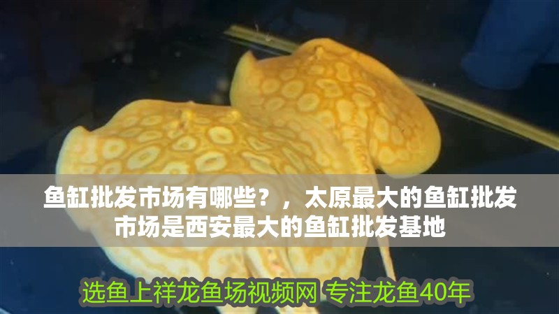 魚缸批發市場有哪些？，太原最大的魚缸批發市場是西安最大的魚缸批發基地