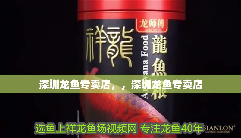 深圳龍魚專賣店，，深圳龍魚專賣店