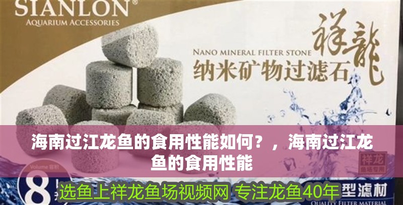 海南過江龍魚的食用性能如何？，海南過江龍魚的食用性能