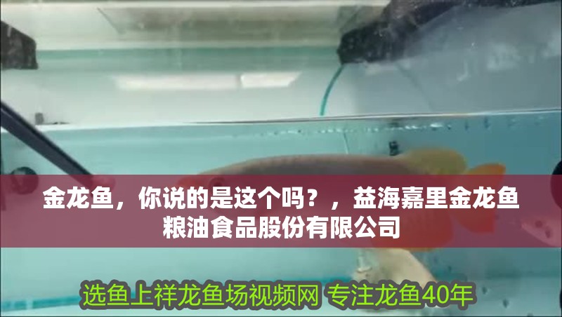 金龍魚，你說的是這個嗎？，益海嘉里金龍魚糧油食品股份有限公司