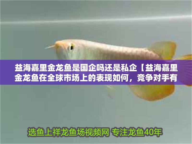 益海嘉里金龍魚是國企嗎還是私企【益海嘉里金龍魚在全球市場上的表現(xiàn)如何，競爭對手有哪些】