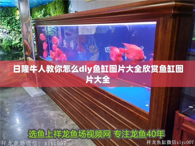 日隆牛人教你怎么diy魚缸圖片大全欣賞魚缸圖片大全