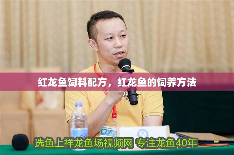 紅龍魚飼料配方，紅龍魚的飼養方法