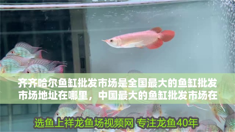 齊齊哈爾魚(yú)缸批發(fā)市場(chǎng)是全國(guó)最大的魚(yú)缸批發(fā)市場(chǎng)地址在哪里，中國(guó)最大的魚(yú)缸批發(fā)市場(chǎng)在哪里？