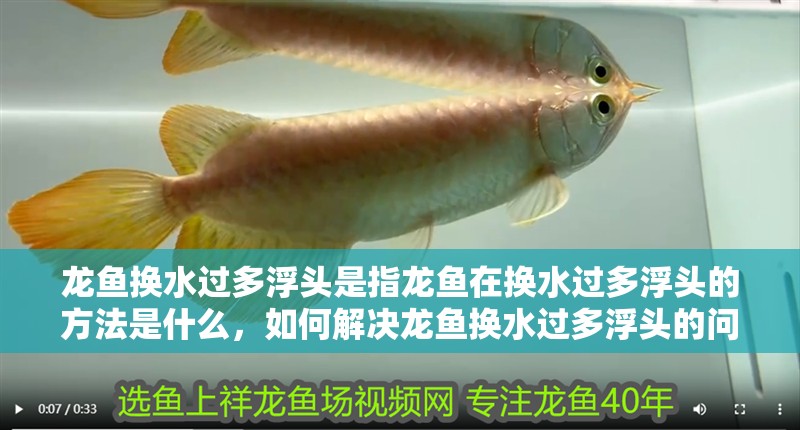 龍魚換水過多浮頭是指龍魚在換水過多浮頭的方法是什么，如何解決龍魚換水過多浮頭的問題