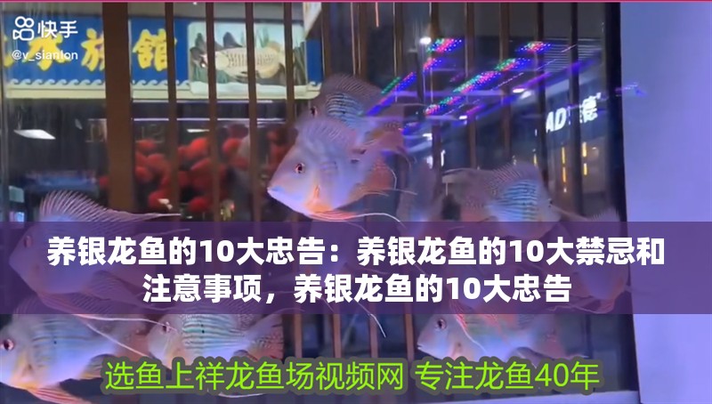 養(yǎng)銀龍魚的10大忠告：養(yǎng)銀龍魚的10大禁忌和注意事項(xiàng)，養(yǎng)銀龍魚的10大忠告