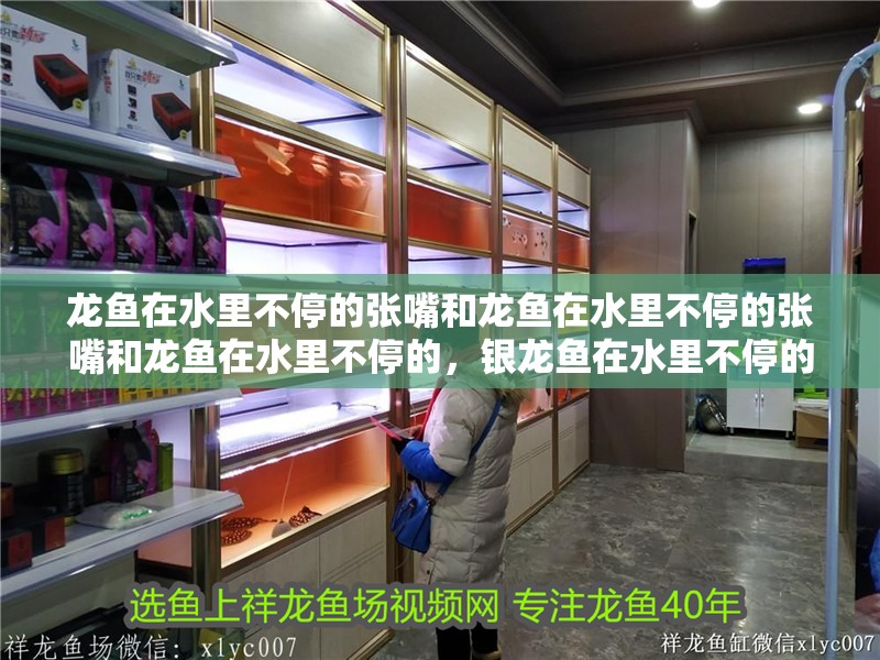 龍魚(yú)在水里不停的張嘴和龍魚(yú)在水里不停的張嘴和龍魚(yú)在水里不停的，銀龍魚(yú)在水里不停的張嘴和龍魚(yú)在水里不停的張嘴和龍魚(yú)有關(guān)