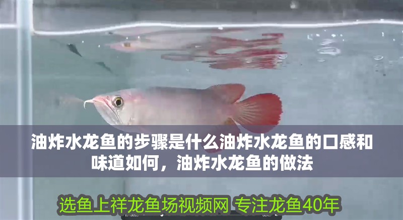 油炸水龍魚的步驟是什么油炸水龍魚的口感和味道如何，油炸水龍魚的做法