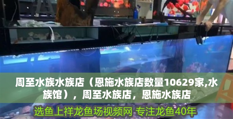 <strong><mark>周至</mark></strong>水族水族店（恩施水族店數(shù)量10629家,水族館），<strong><mark>周至</mark></strong>水族店，恩施水族店