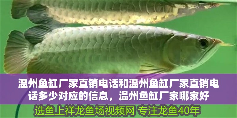 溫州魚缸廠家直銷電話和溫州魚缸廠家直銷電話多少對(duì)應(yīng)的信息，溫州魚缸廠家哪家好