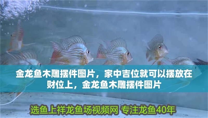 金龍魚木雕擺件圖片，家中吉位就可以擺放在財位上，金龍魚木雕擺件圖片