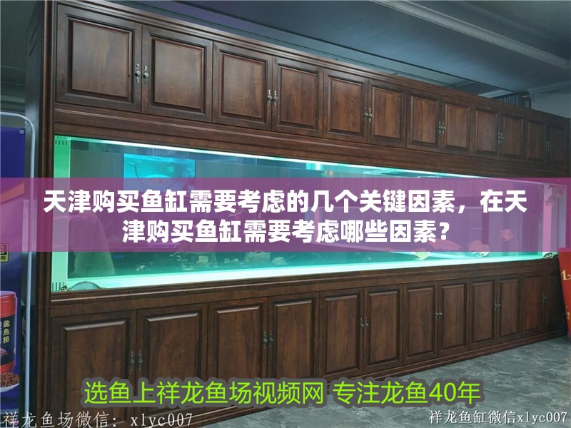 天津購買魚缸需要考慮的幾個關鍵因素，在天津購買魚缸需要考慮哪些因素？