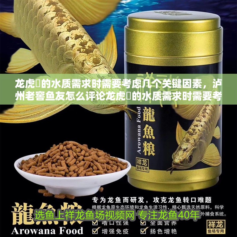 龍虎魟的水質需求時需要考慮幾個關鍵因素，瀘州老窖魚友怎么評論龍虎魟的水質需求時需要考慮幾個因素