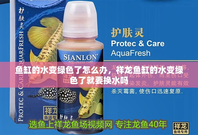 魚缸的水變綠色了怎么辦，祥龍魚缸的水變綠色了就要換水嗎