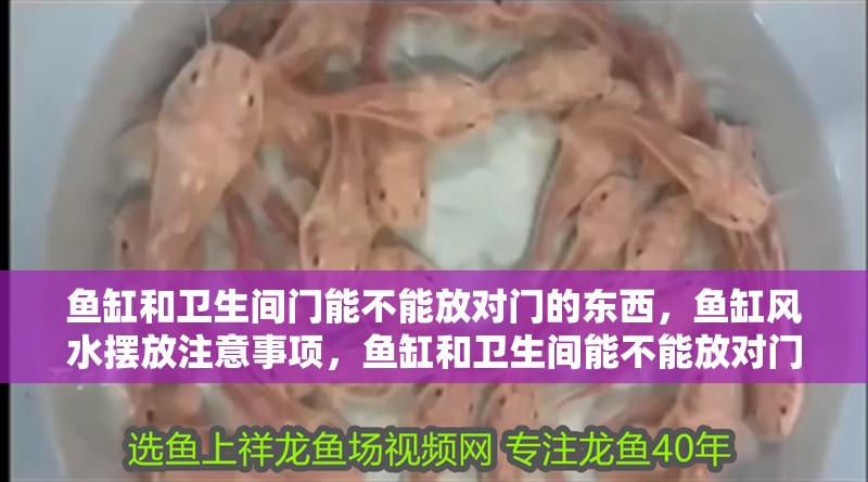 魚缸和衛生間門能不能放對門的東西，魚缸風水擺放注意事項，魚缸和衛生間能不能放對門的東西