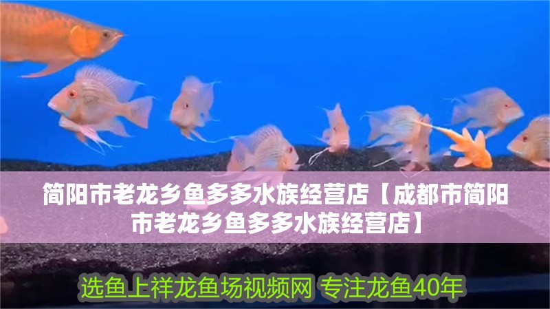 簡陽市老龍鄉魚多多水族經營店【成都市簡陽市老龍鄉魚多多水族經營店】