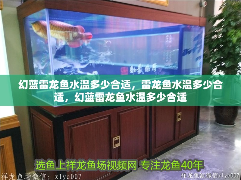 幻藍雷龍魚水溫多少合適，雷龍魚水溫多少合適，幻藍雷龍魚水溫多少合適