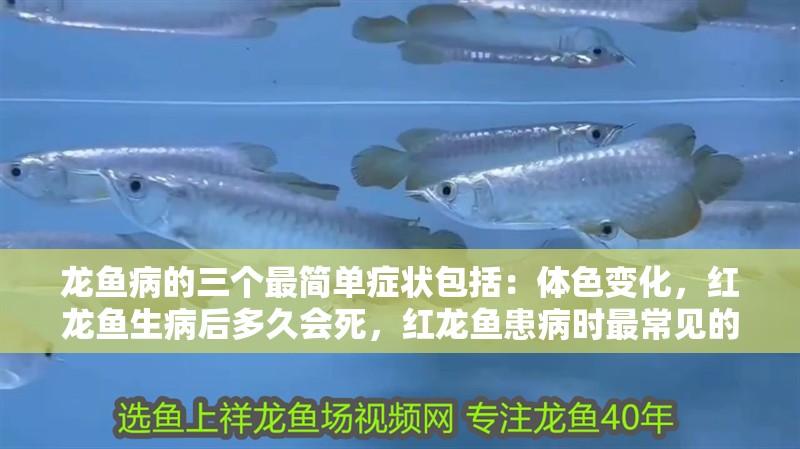 龍魚病的三個最簡單癥狀包括：體色變化，紅龍魚生病后多久會死，紅龍魚患病時最常見的三個簡單癥狀