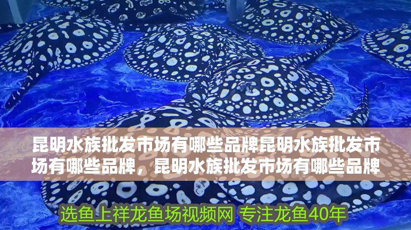 昆明水族批發(fā)市場有哪些品牌昆明水族批發(fā)市場有哪些品牌，昆明水族批發(fā)市場有哪些品牌