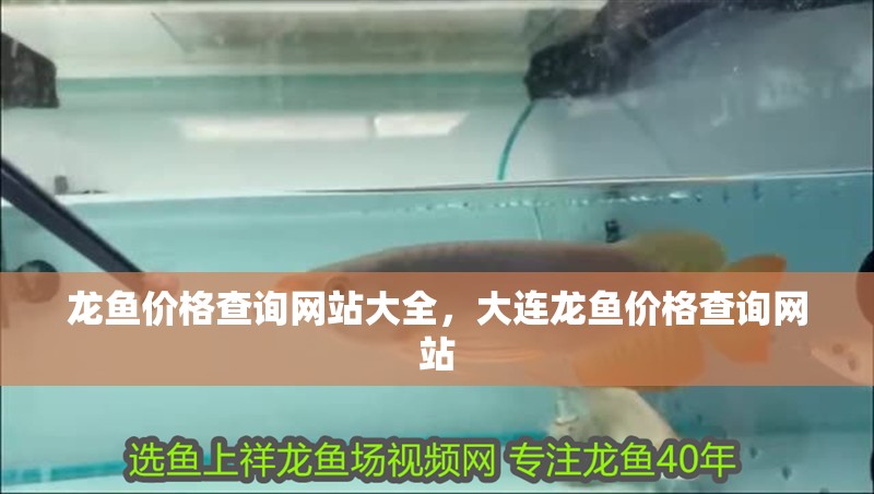 龍魚價格查詢網站大全，大連龍魚價格查詢網站