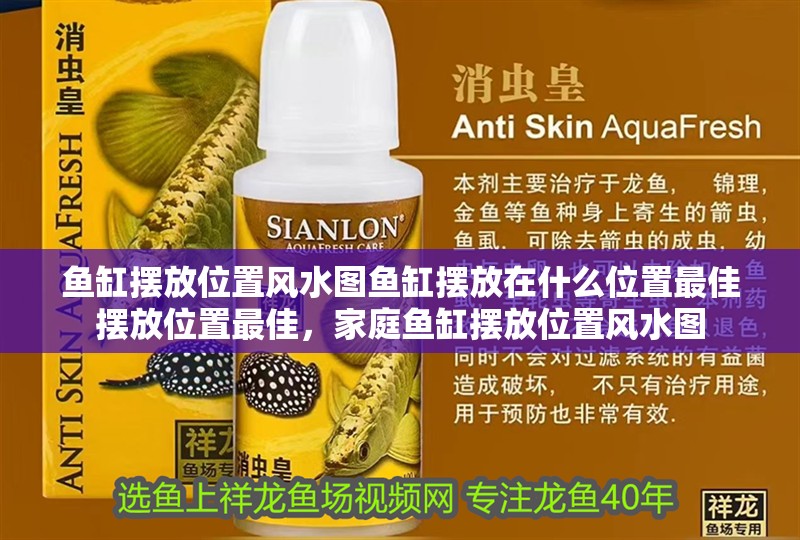 魚缸擺放位置風水圖魚缸擺放在什么位置最佳擺放位置最佳，家庭魚缸擺放位置風水圖