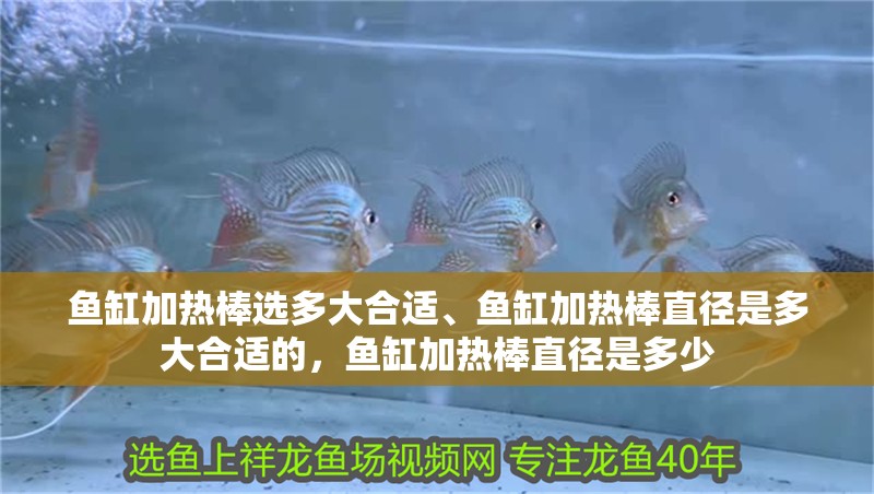 魚缸加熱棒選多大合適、魚缸加熱棒直徑是多大合適的，魚缸加熱棒直徑是多少