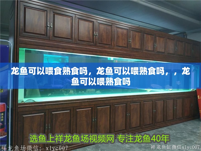 龍魚可以喂食熟食嗎，龍魚可以喂熟食嗎，，龍魚可以喂熟食嗎