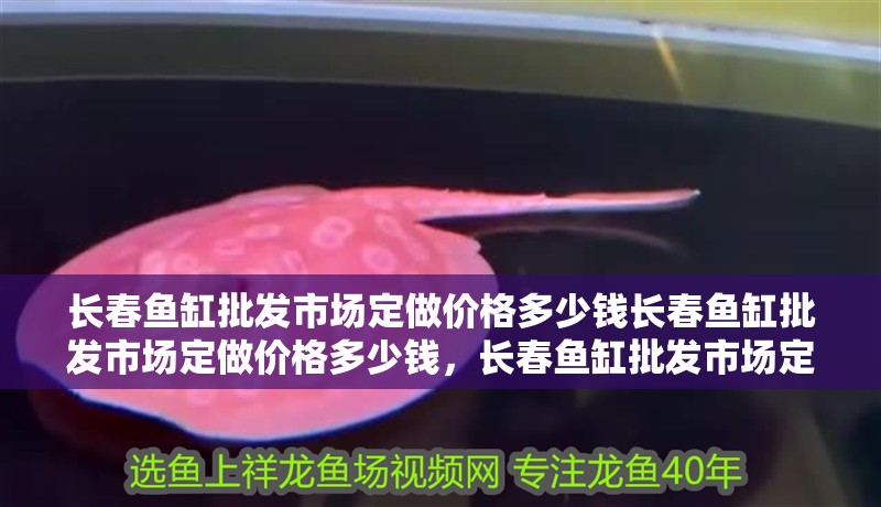 長春魚缸批發(fā)市場定做價格多少錢長春魚缸批發(fā)市場定做價格多少錢，長春魚缸批發(fā)市場定做價格多少錢