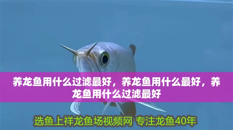 養龍魚用什么過濾最好，養龍魚用什么最好，養龍魚用什么過濾最好